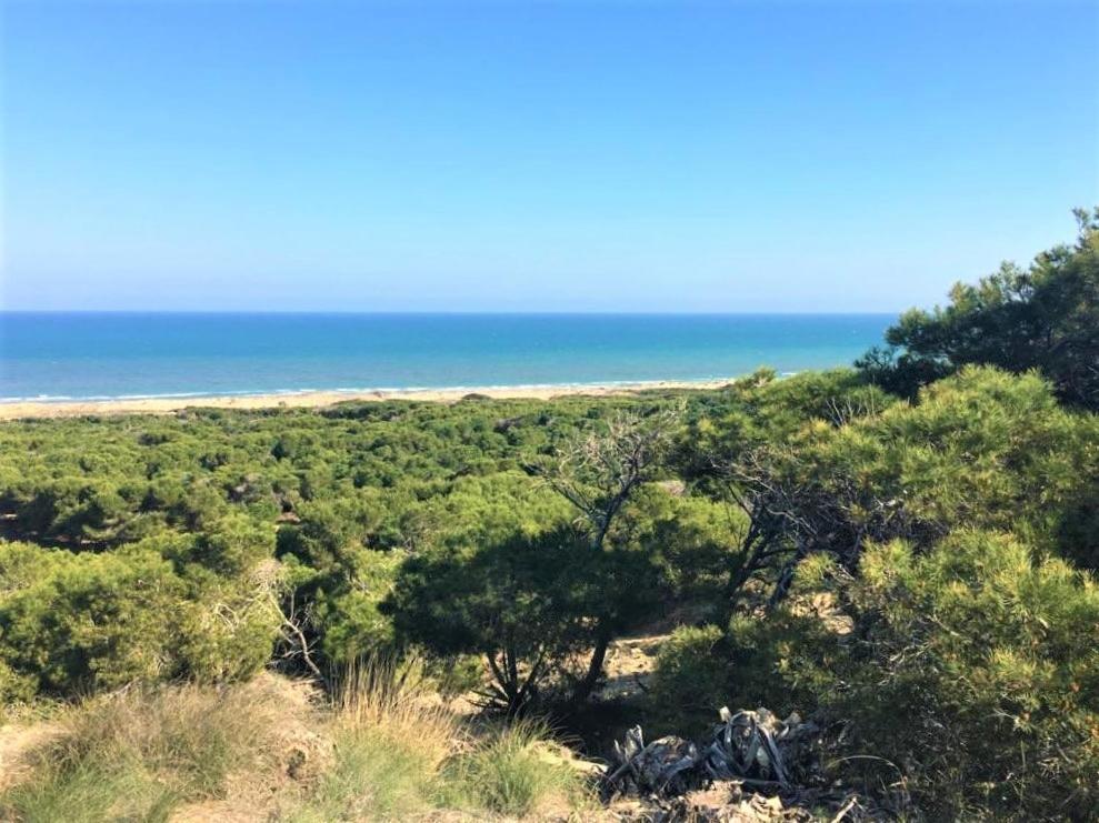 Casa Jirafa Con La Vista Villa Gran Alacant Dış mekan fotoğraf